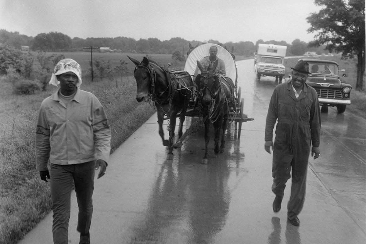 The Mule Train departing Marks, Mississippi, for Washington, DC