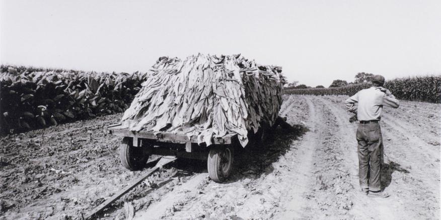 Excerpts From The Writings Of Wendell Berry The National Endowment For The Humanities Excerpts From The Writings Of Wendell Berry The National Endowment For The Humanities
