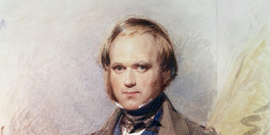 Darwin The Young Adventurer The National Endowment For The Humanities