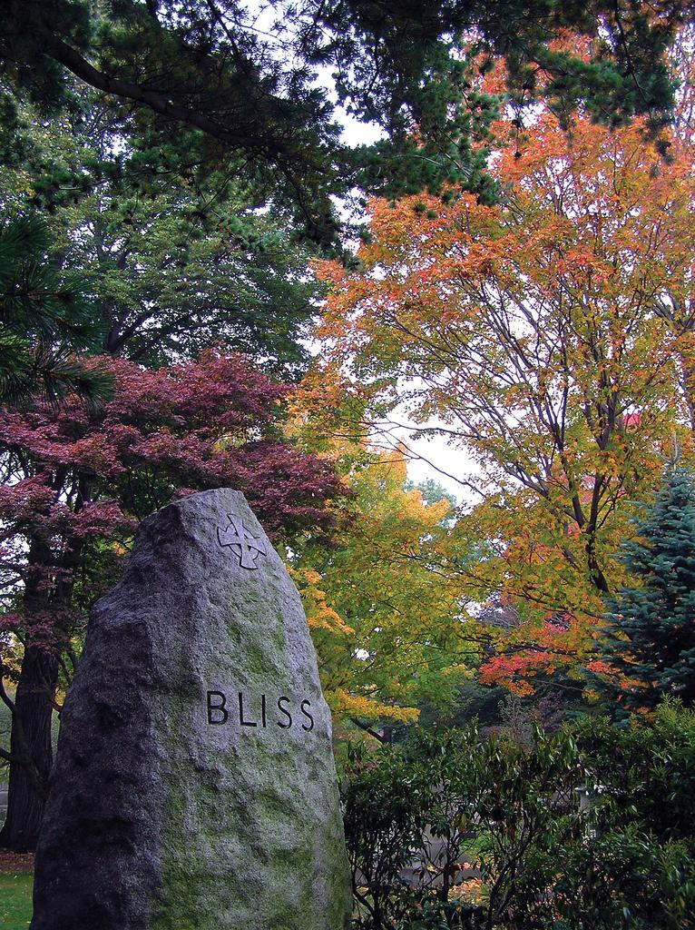 photograph of a large stone with word "bliss" carved into it