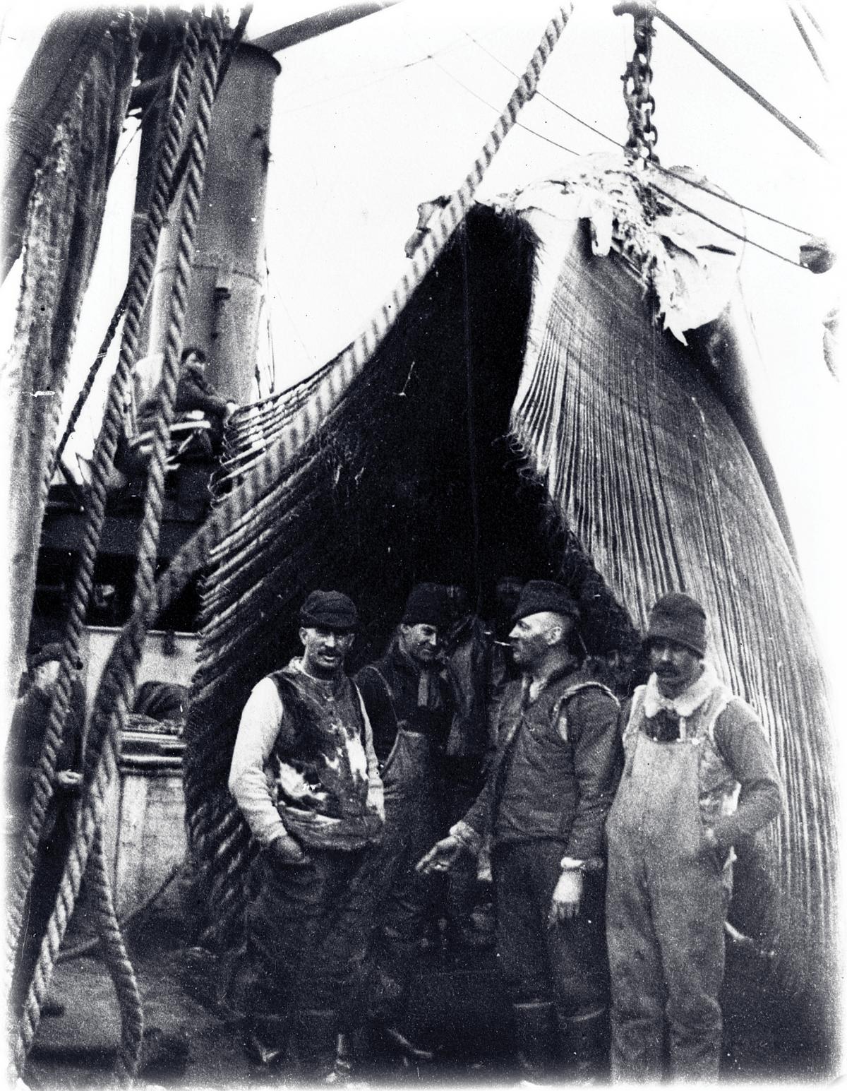 black and white photograph of four men standing underneath whale matter
