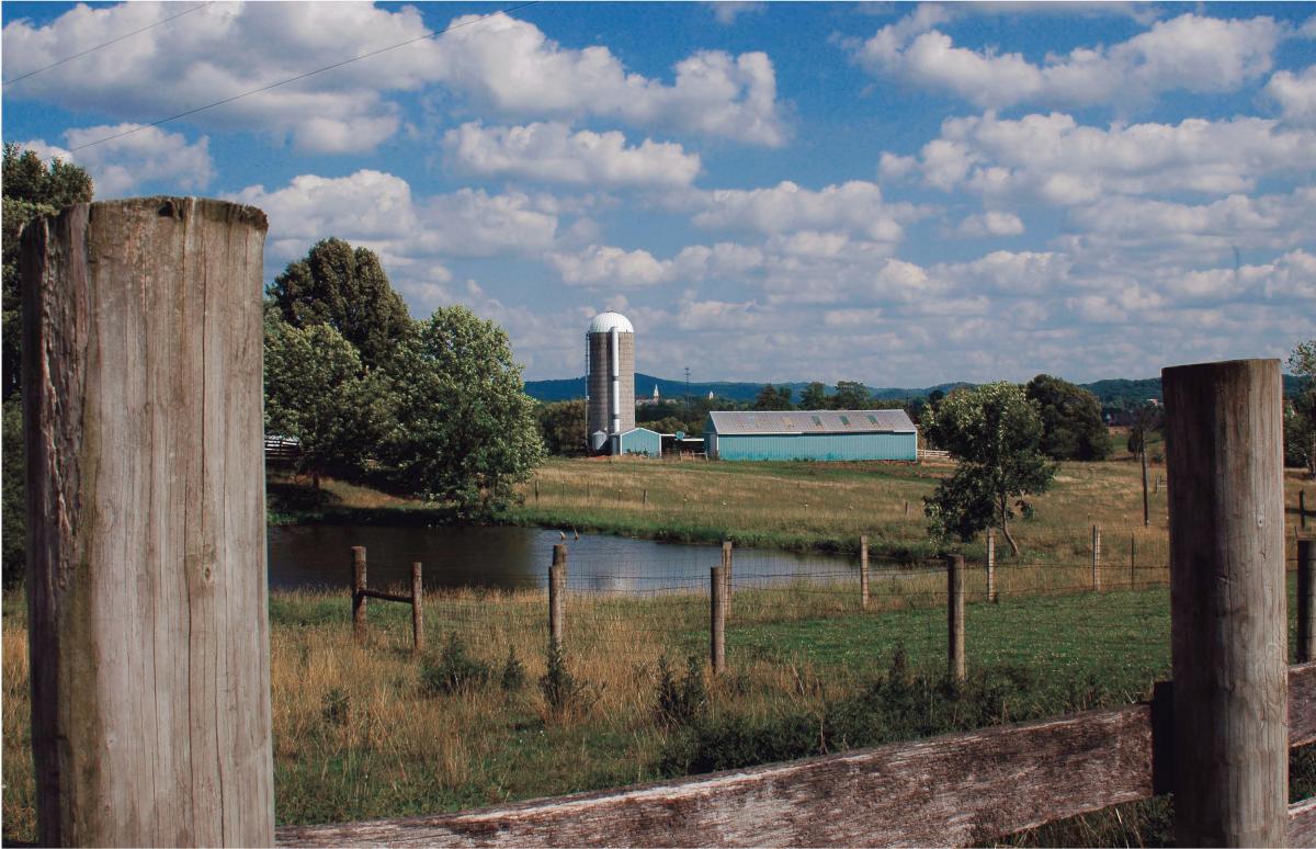 Landscape view of Berea's farm on a sunny day