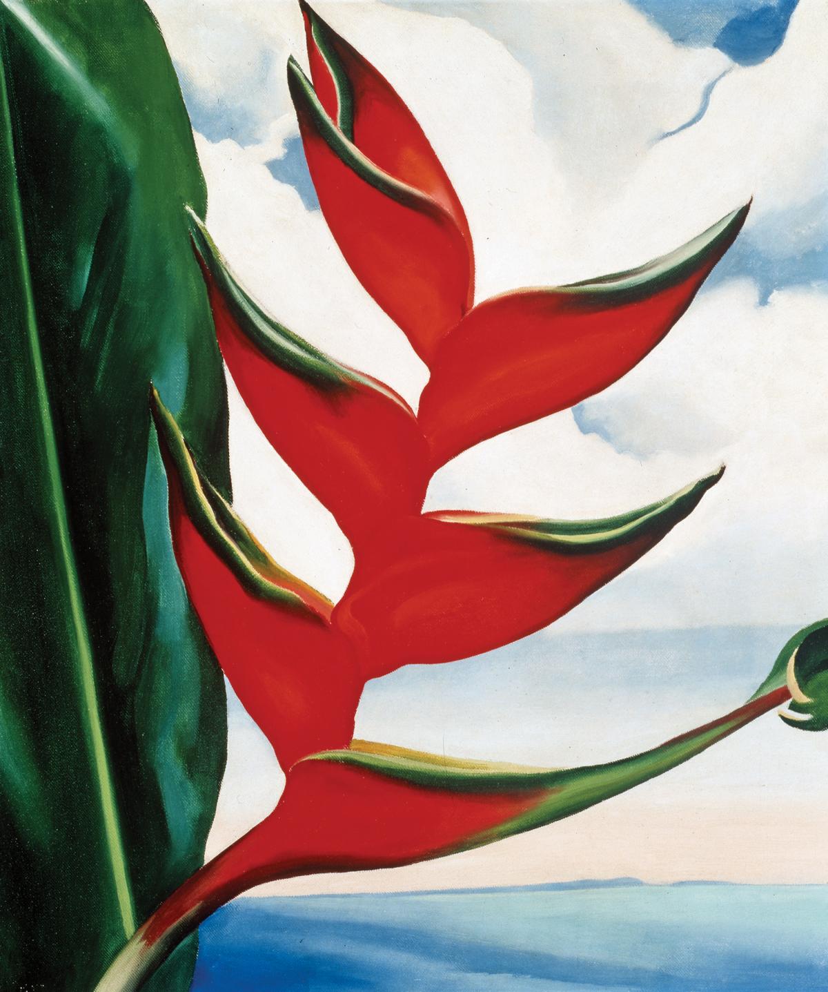 Heliconia, Crab’s Claw Ginger, 1939, by Georgia O'Keeffe