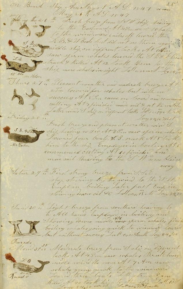Page from Joel G. Jared's journal, written on yellowing paper, with small drawings of whales on the left side