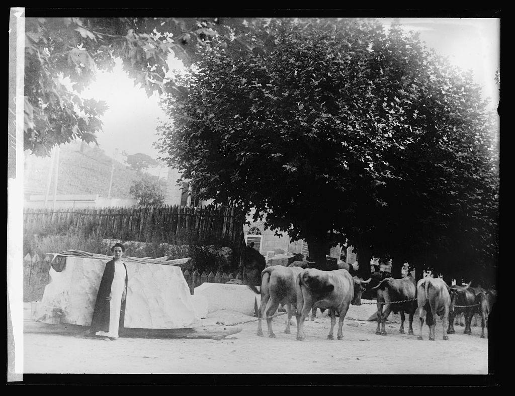 Adelaide Johnson standing before her selection of marble