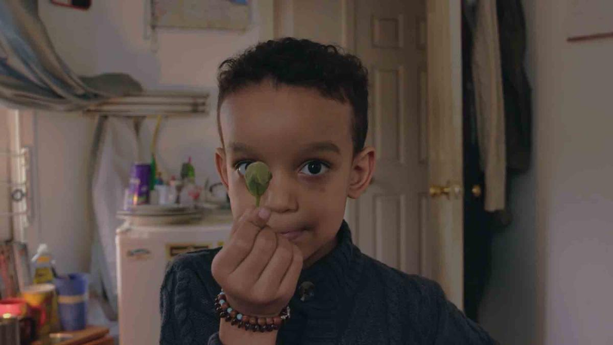 A photo of Carl Chandler's grandson, Yadiel, holding a small leaf. 