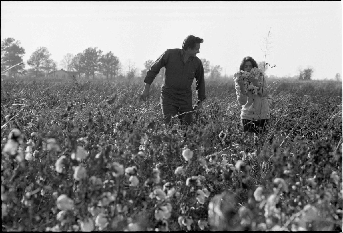 Johnny and June Cash walking through a cotton field.