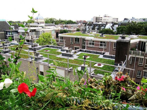 Green roof on residential complex.