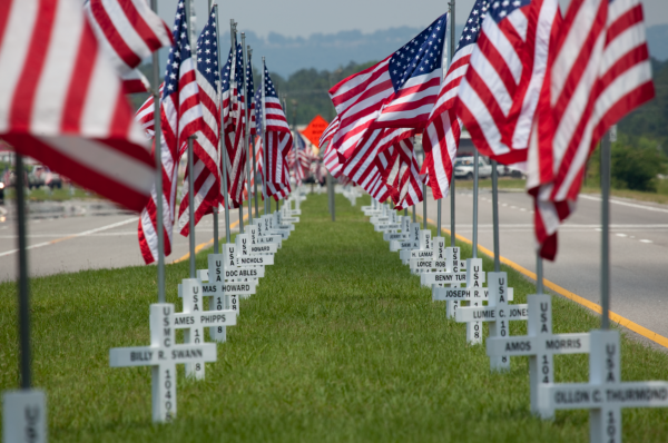 American flags fly over military graves