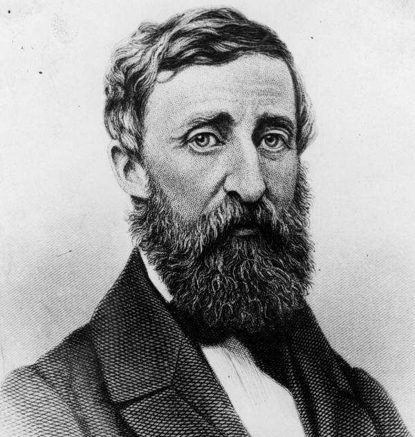 Black and white drawing of Henry David Thoreau
