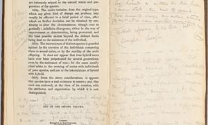 Annotations by Charles Darwin in Charles Lyell's Principles of Geology
