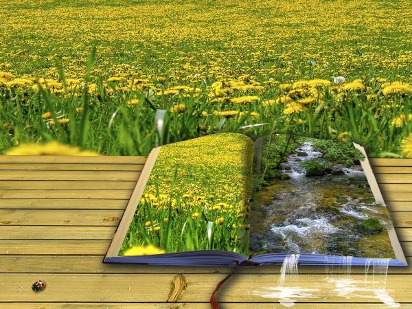 Illustration of an open book in a field of yellow wildflowers