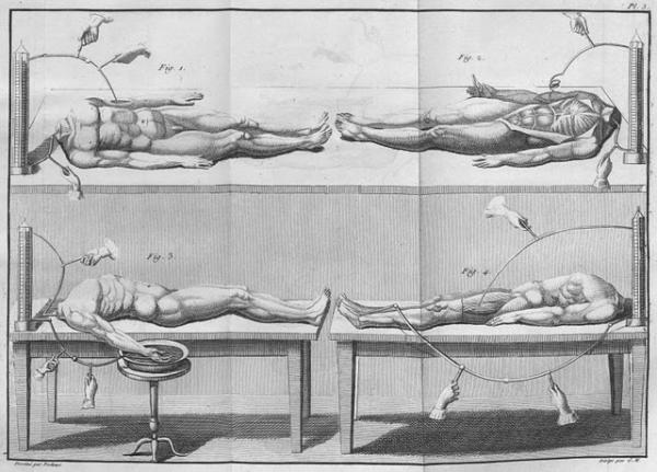 Human dissection engraving - Wellcome Collection.