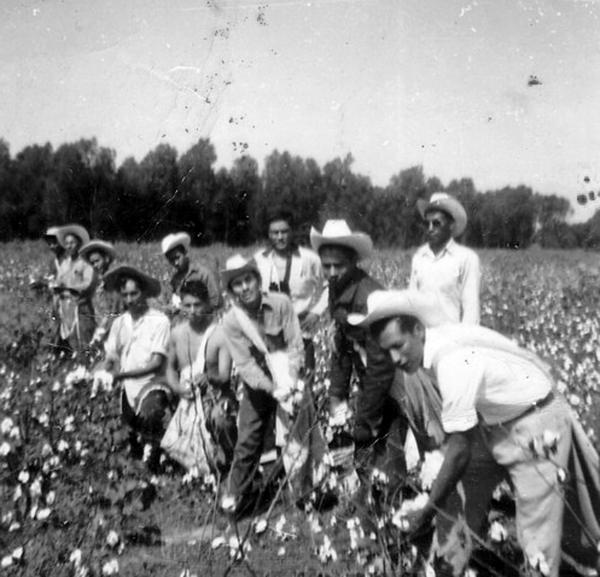 Braceros in eastern Arkansas ca. 1950s