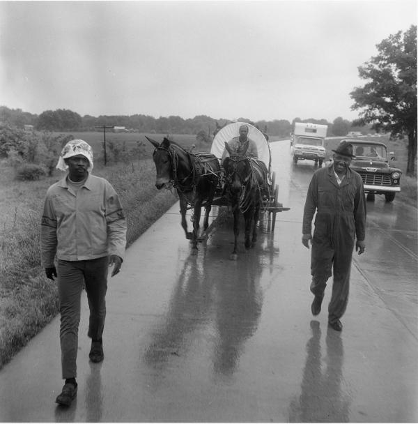 The Mule Train departing Marks, Mississippi, for Washington, DC