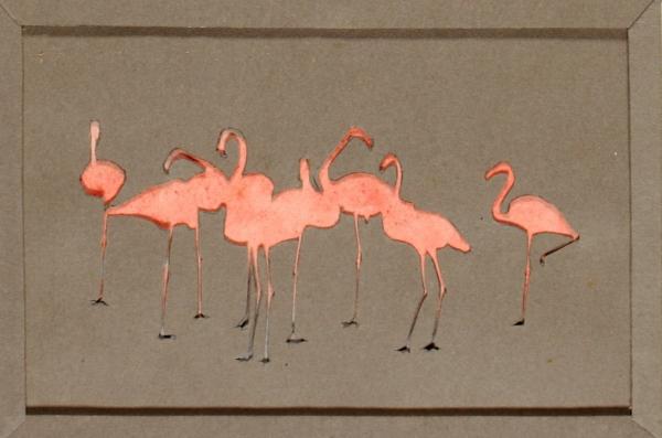 Flamingoes, study folder for the book Concealing Coloration in the Animal Kingdom by Abbott Handerson Thayer.