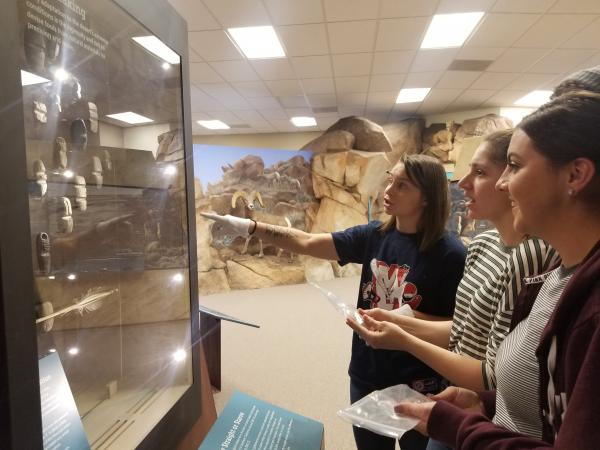 The head curator works with San Diego State University students. Photograph courtesy of the Imperial Valley Desert Museum. 