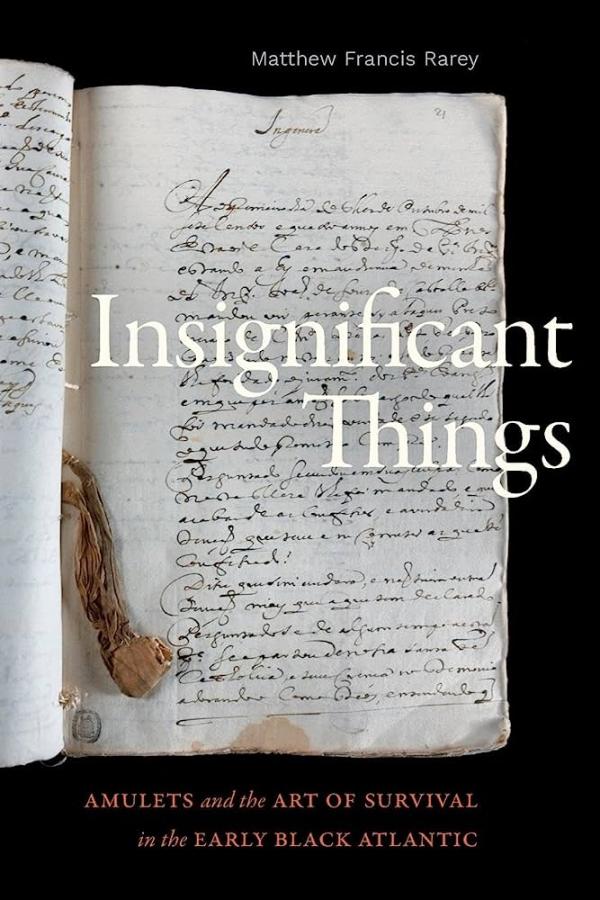 Book: Insignificant Things