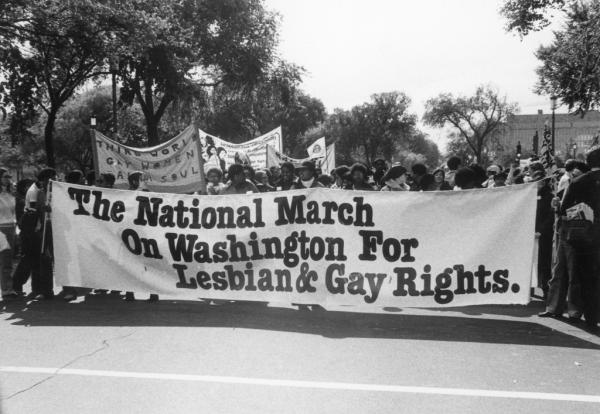 March on Washington photo as banner image with caption: National March on Washington for Lesbian and Gay Rights (1979).