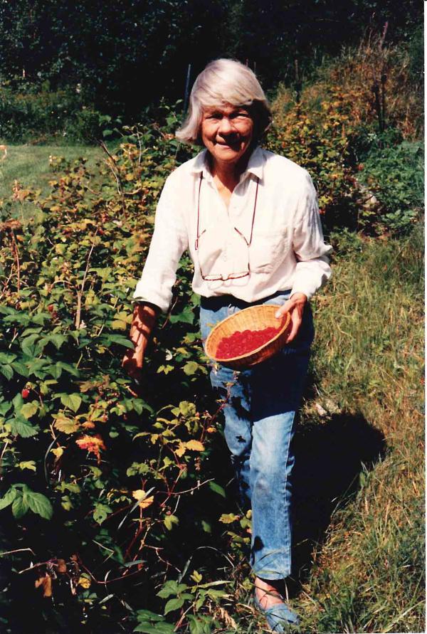 Photograph of Judith Jones holding a basket and picking raspberries.