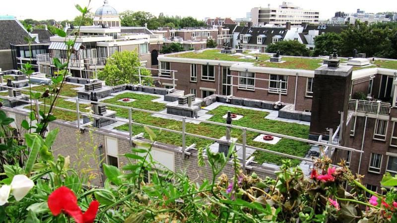 Green roof on residential complex.