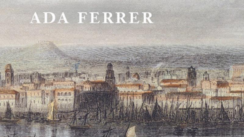Book cover showing a bay with sailing ships in the background.