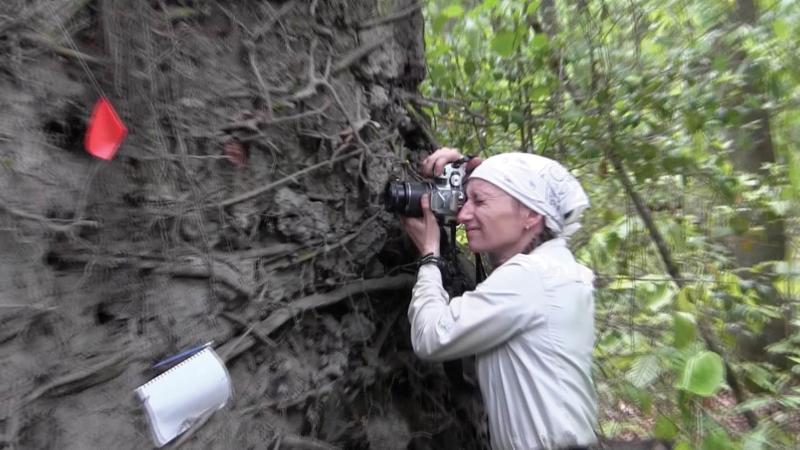 A woman taking a photo from behind a tree.