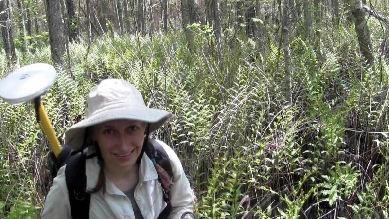 Photo of a woman walking amid ferns in a swampy area.