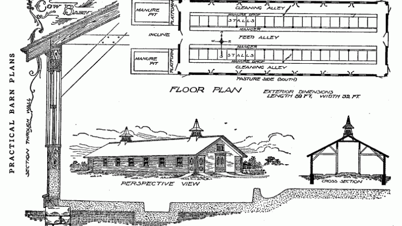 Design for a Cow Barn from Radford's combined house and barn plan book