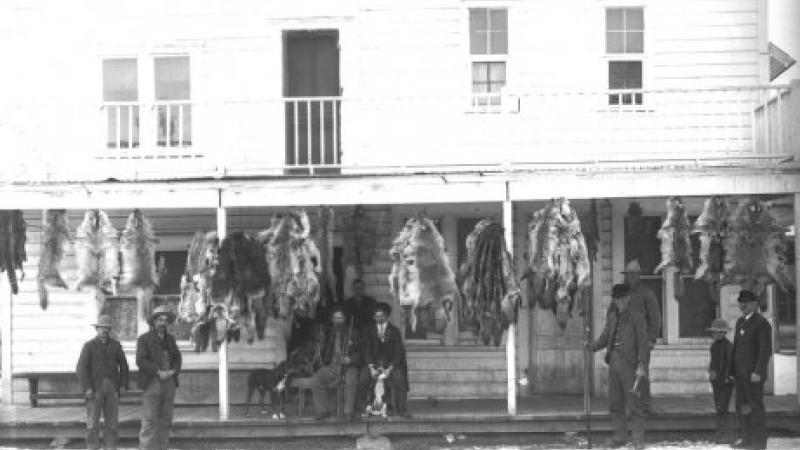 black and white photo of men on a porch, animal furs hanging from roof