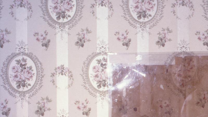 photograph of antique wallpaper