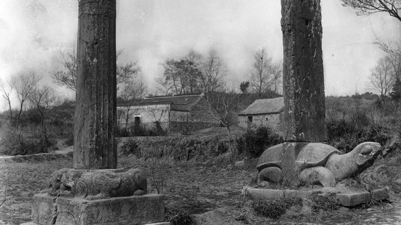 Ancient chinese stone steles and animal sculptures, crumbing in a grassy clearing