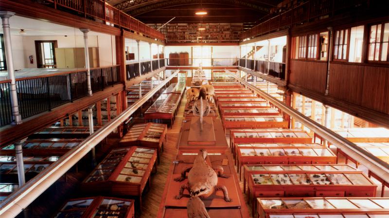 Color photo of an exhibition hall in a museum.