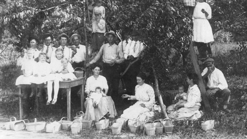 Family, all dressed in white, sitting and standing in a stand of trees