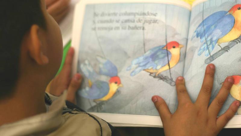 an over-the-shoulder view of a child reading a colorful picture book