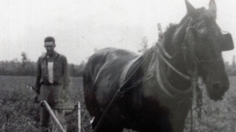 Black and white photo of a man plowing behind a horse.