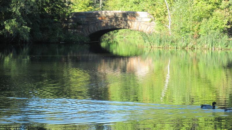 Photo of a calm lake traversed by a stone bridge.