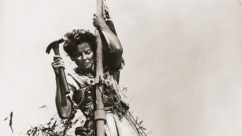Photo of a woman hanging from a pole with tall grass in the background. She is hammering at an object on the pole while a man walks underneath her.