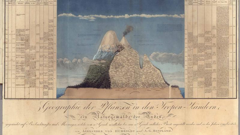 Color page of field notes from one of Alexander von Humboldt's journals. An illustration of an island is located in the center of the page.