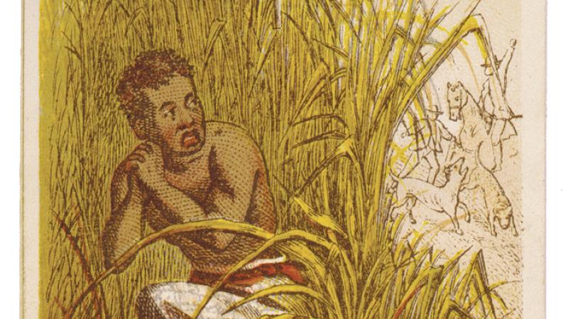 Man hiding in the weeds of a swamp to avoid slave catchers