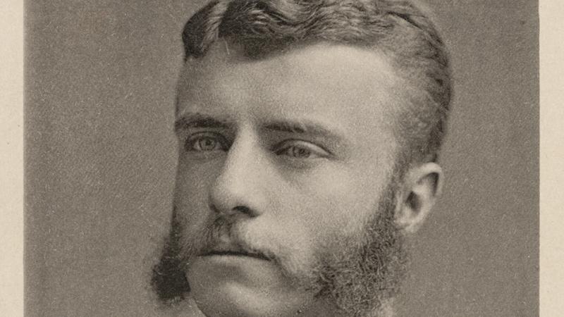 Young Roosevelt, with mutton chop sideburns, wearing a dark suit