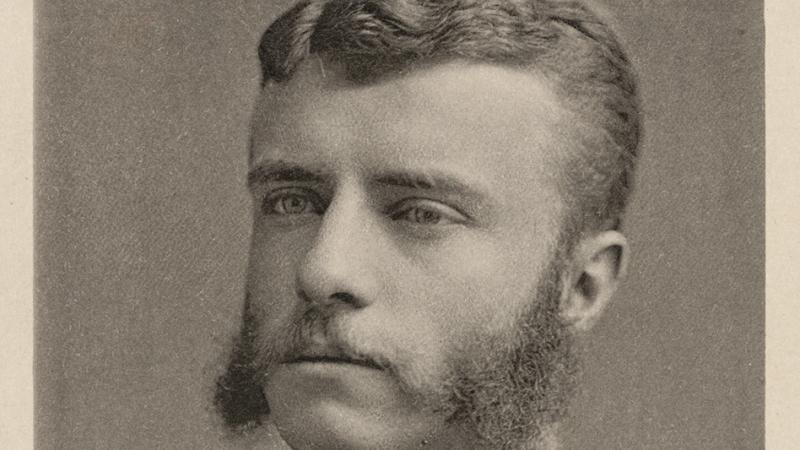 Young Roosevelt, with mutton chop sideburns, wearing a dark suit