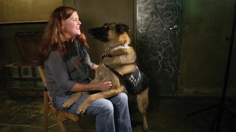 Color photo of a woman sitting in a chair with a dog perched up on her thighs, seeking attention. 