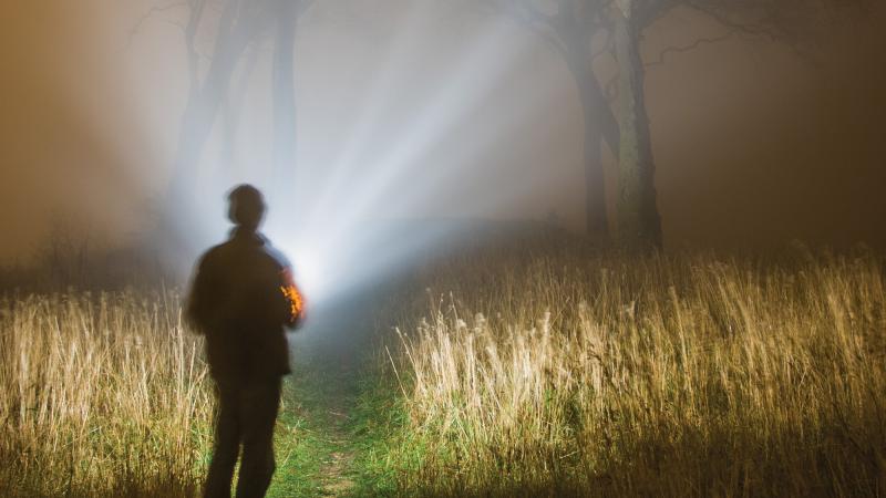 A man in a red jacket with his back to the viewer shines a bright flashlight onto a grassy swamp area, fringed with trees