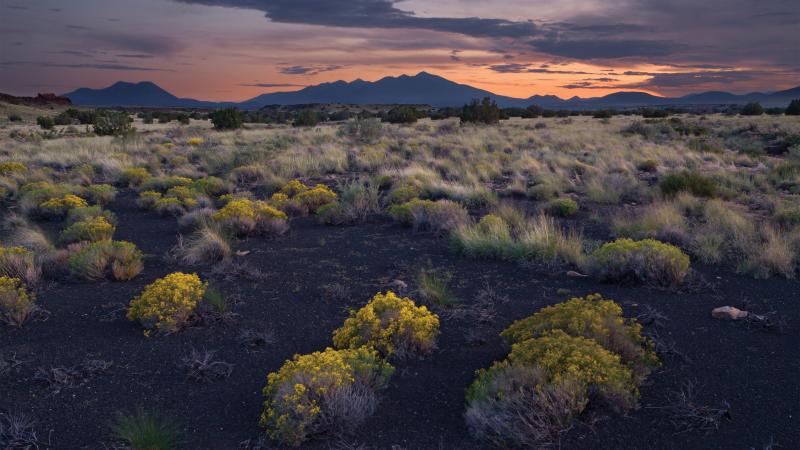 Box Canyon at sunset