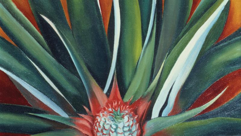  Pineapple Bud, 1939, by Georgia O'Keeffe