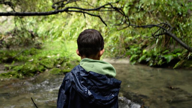 Young boy looks at river 