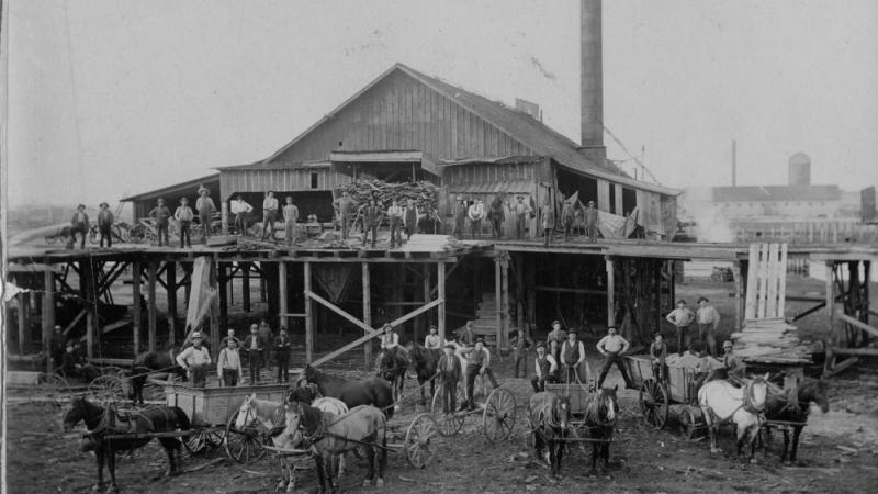 Workers at Daniel Shaw Lumber Company Shingle Mill