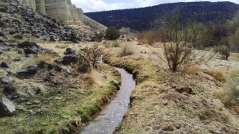 “Acequia” or “Zanja” (irrigation ditch)