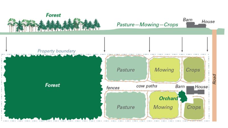 Land Use on a Maine Farm